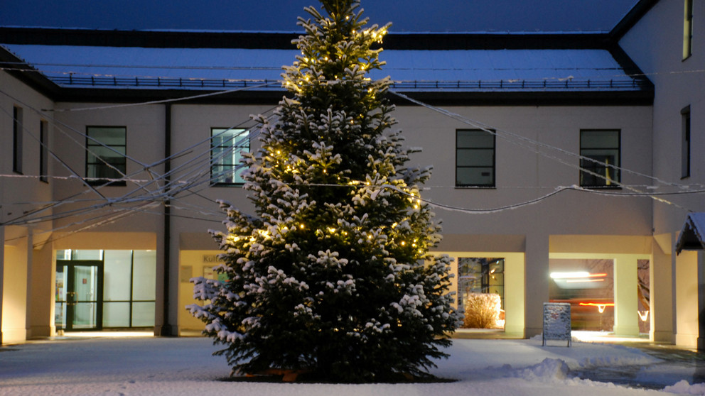 Christbaum auf dem Mensavorplatz